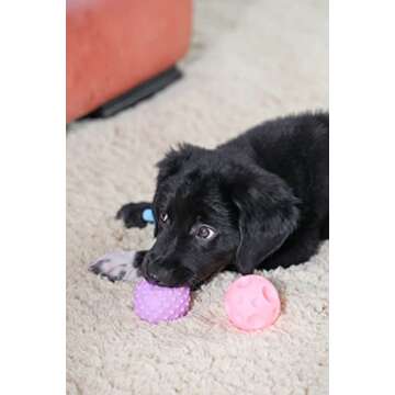 Tamu style Puppy Chew Toys for Teething, 6 Pack, Soft Colorful Vinyl, Fun Ball Shapes, Mentally Stimulating Shapes and Audible Squeaker, Promotes Active, Healthy Play and Even Float in Water