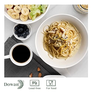 Durable DOWAN 8.5 Pasta Bowls - Perfect for All Meal Types