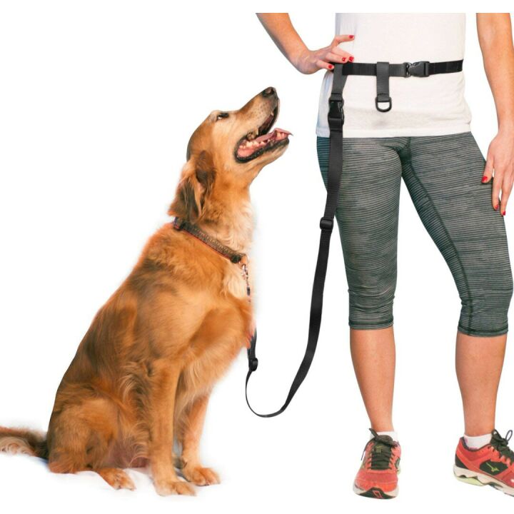 Adjustable Hands-Free Dog Leash for All Sizes