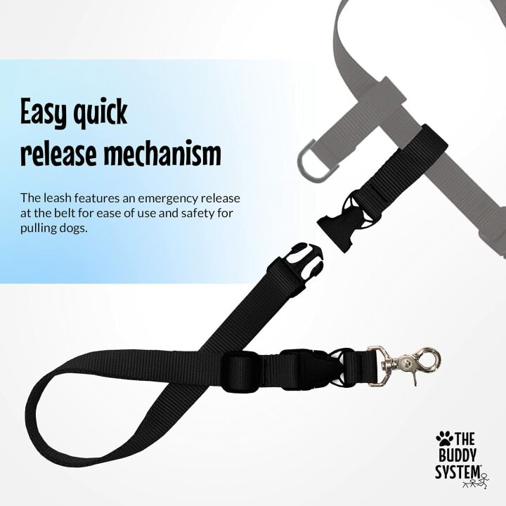 Adjustable Hands-Free Dog Leash for All Sizes