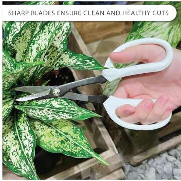 Precision Gardening Scissors for Pruning and Trimming
