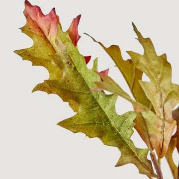 Afloral | Artificial Flower Arrangements | Summer Oak Leaf Branch | Faux Plants for Vase | Tall Branches Home Decor | Real Looking Flower | Long Stem Greenery