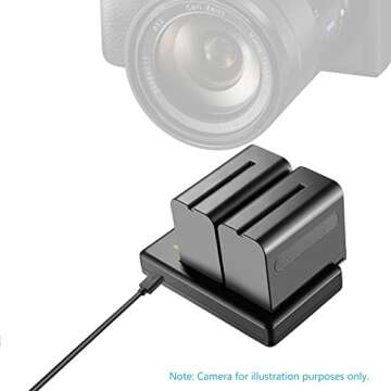 NEEWER 2-Pack 6600mAh Li-ion Battery with USB Charger for Sony NP-F550 570 750 770 970 960 975,Sony Handycams,NW CN160 CN-216 LED Light,NW 759 74K 760 Feelworld,759 74K 760 Field Monitor