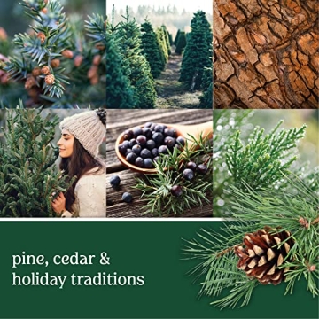 Yankee Candle Balsam & Cedar Medium Jar - 35+ Hours