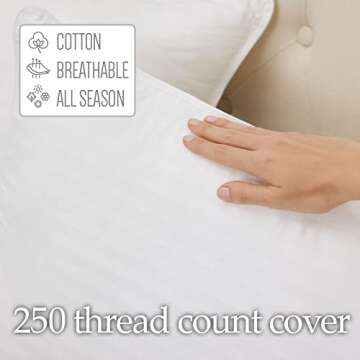 lalaLOOM Microfiber Down Alternative Cotton Bed Pillows for Sleeping, Queen, Set of 2, Breathable Firm Supportive Pillow, Soft Plush 250 Thread Count, Easy Clean, Back Stomach Side Sleepers, 20x30