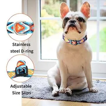 Charmkit Dog Collar for Small Medium Large Dogs,Adjustable Soft Puppy Collars with Quick Release Buckle,M