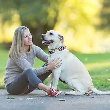 Charmkit Dog Collar for Small Medium Large Dogs,Adjustable Soft Puppy Collars with Quick Release Buckle,M