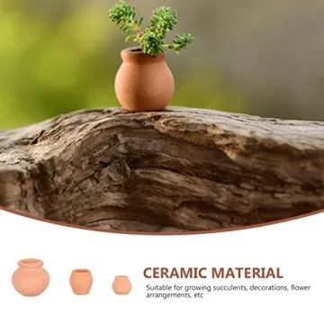 Mini Clay Pots for Succulents and Cacti - 12pcs Set