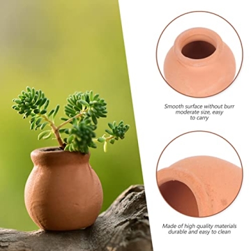Mini Clay Pots for Succulents and Cacti - 12pcs Set
