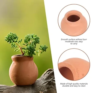 Mini Clay Pots for Succulents and Cacti - 12pcs Set
