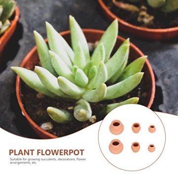 Mini Clay Pots for Succulents and Cacti - 12pcs Set