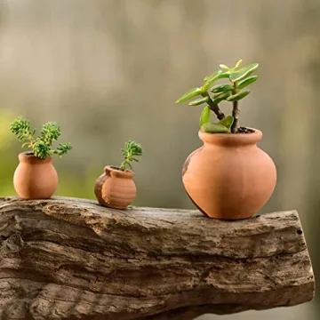 Mini Clay Pots for Succulents and Cacti - 12pcs Set