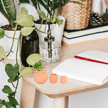 Mini Clay Pots for Succulents and Cacti - 12pcs Set