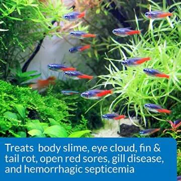 API FIN & BODY CURE Freshwater Fish Powder Medication 10-Count Box