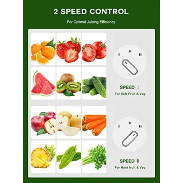 Loilat Juicer Machine with 3" Wide Mouth and 500W Power