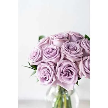 From You Flowers - One Dozen Purple Roses with Glass Vase (Fresh Flower Bouquets) Birthday, Anniversary, Get Well, Congratulations, Thank You, All Occasions