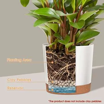 kubvici 8 Inch Planters - Stylish and Durable Planter Pot