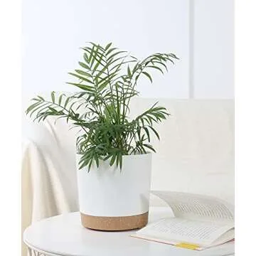 kubvici 8 Inch Planters - Stylish and Durable Planter Pot