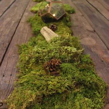 Preserved Green Sheet Moss Dried Natural for Fairy Gardens Terrariums or Any Craft or Floral Project (Sheet Moss-Green 6 OZ)