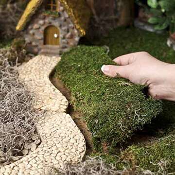 Preserved Green Sheet Moss Dried Natural for Fairy Gardens Terrariums or Any Craft or Floral Project (Sheet Moss-Green 6 OZ)