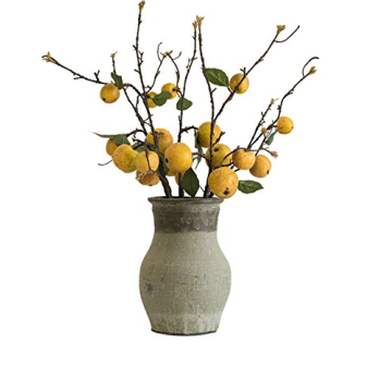 Zzooi Artificial Pear Tree Branches for Elegant Decor