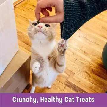 Wellness Kittles Crunchy Cat Treats with Tuna & Cranberries
