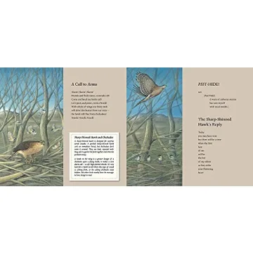 Captivating Poetry Book for Children Aged 7-9 - Predator and Prey