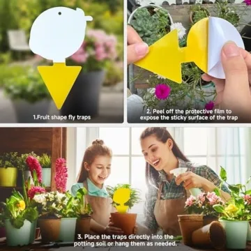 KIKALIFE Non-Toxic Fruit Fly & Gnat Traps 40 Pack