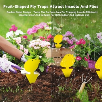 KIKALIFE Non-Toxic Fruit Fly & Gnat Traps 40 Pack