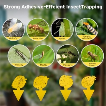 KIKALIFE Non-Toxic Fruit Fly & Gnat Traps 40 Pack