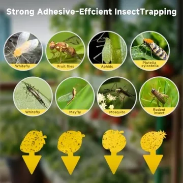 KIKALIFE Non-Toxic Fruit Fly & Gnat Traps 40 Pack