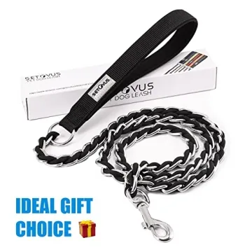 Durable Chew Proof Metal Chain Dog Leash for Pets