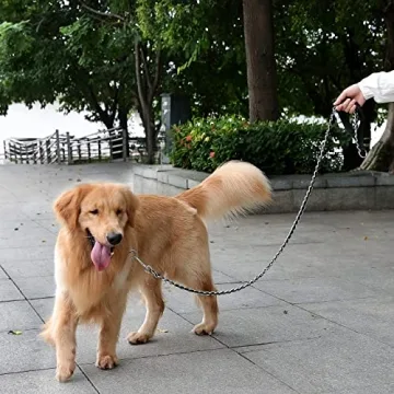Durable Chew Proof Metal Chain Dog Leash for Pets