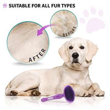 Round Bristle Pet Brush for Dogs and Cats - Soft Dog Brush for Grooming Short or Long Hair - Gentle ...