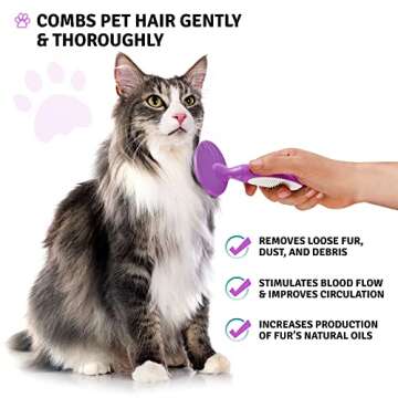 Round Bristle Pet Brush for Dogs and Cats - Soft Dog Brush for Grooming Short or Long Hair - Gentle Tool for Sensitive Skin Removes Dander, Dirt, and Detangles - Purple