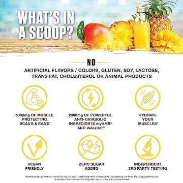 Ambrosia Hydroglyph Intraworkout Formula w/BCAA + EAA + Electrolytes Hydration Powder to Protect Lean Muscle, 0g Sugar Fasting Hydration Drink Mix, Made w/Coconut Water (Pineapple Mango)