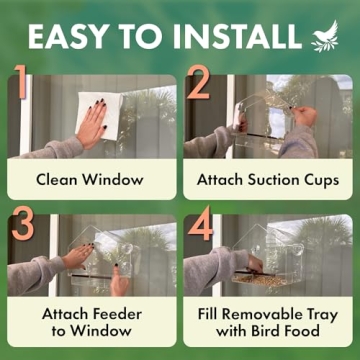 Window Bird Feeder with Quality Suction Cups for Enjoyable Viewing