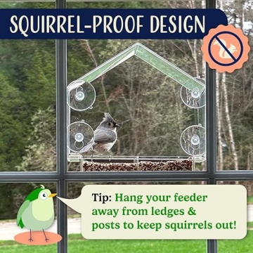 Window Bird Feeder with Quality Suction Cups for Enjoyable Viewing