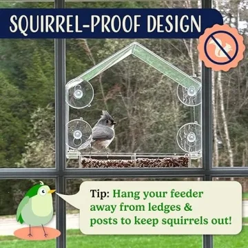 Window Bird Feeder with Quality Suction Cups for Enjoyable Viewing