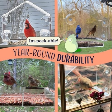 Window Bird Feeder with Quality Suction Cups for Enjoyable Viewing
