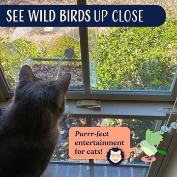 Window Bird Feeder with Quality Suction Cups for Enjoyable Viewing