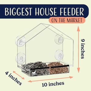 Window Bird Feeder with Quality Suction Cups for Enjoyable Viewing