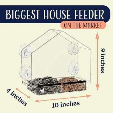 Window Bird Feeder with Quality Suction Cups for Enjoyable Viewing