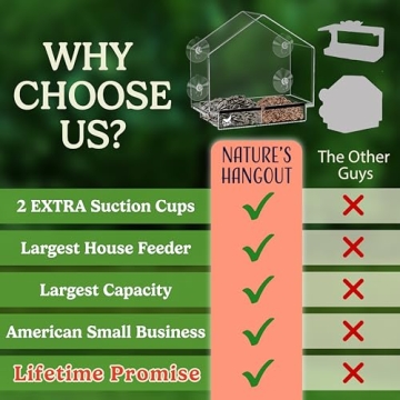 Window Bird Feeder with Quality Suction Cups for Enjoyable Viewing