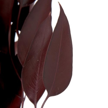 Vickerman Red Weeping Willow Eucalyptus - Vibrant Floral Decor