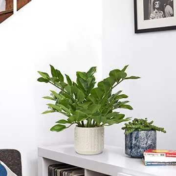 Briful 17" Faux ZZ Plant in Ceramic Pot for Home Decor
