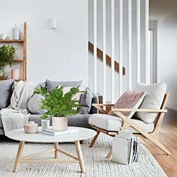 Briful 17" Faux ZZ Plant in Ceramic Pot for Home Decor