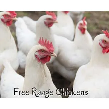 8 oz Pure U.S.A. Eggshell Powder for Dogs/Cats, Calcium Supplement with Membrane, Finely Ground Egg Shells