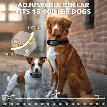 Dog Training Collar - Rechargeable Dog Shock Collar w/3 Training Modes, Beep, Vibration and Shock, Rainproof Training Collar, Up to 1000Ft Remote Range, Adjustable Shock Levels Dog Training Set