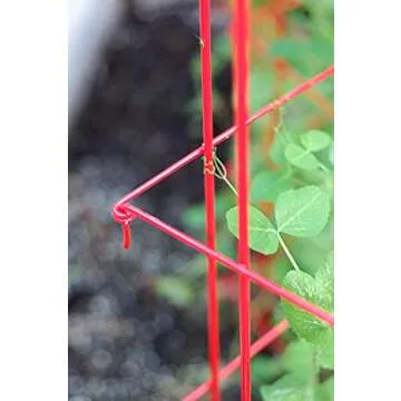 Tall Expandable Pea Trellis for Climbing Plants and Vines